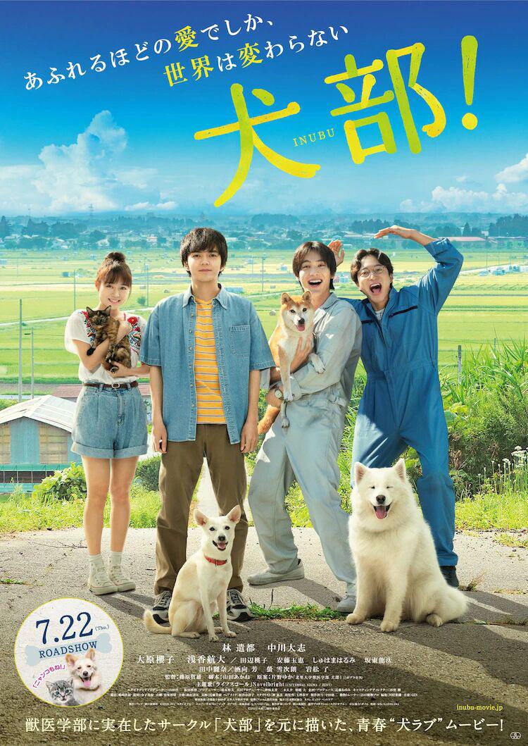 2021年剧情《犬部！/浪浪好朋友》BD日语中字